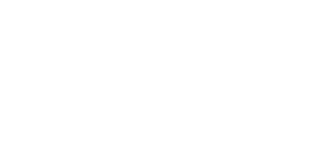 Boston Public Library Fund